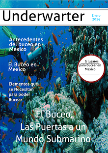 El Buceo vol #1