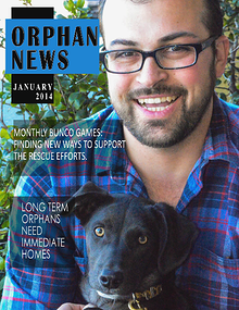 Orphan News