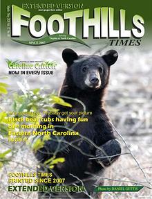 Foothills Times Magazine March 2020