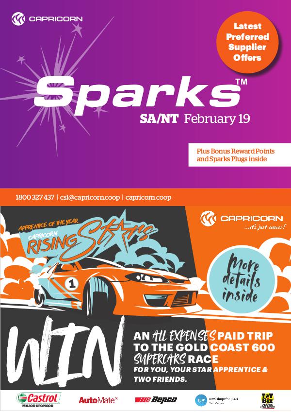 FEBRUARY 2019 SA SPARKS ONLINE