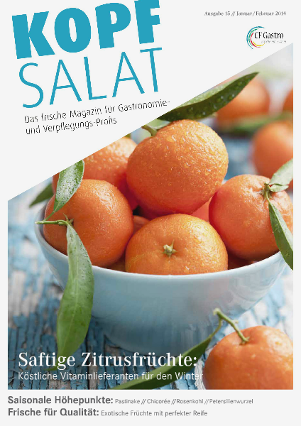 KOPFSALAT Ausgabe 15 (01/2014)