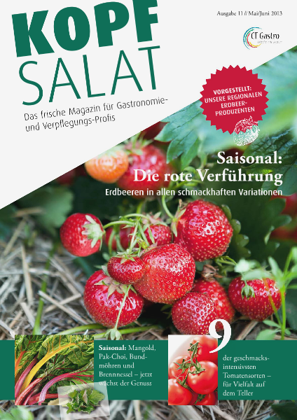 KOPFSALAT Ausgabe 11 (05/2013)