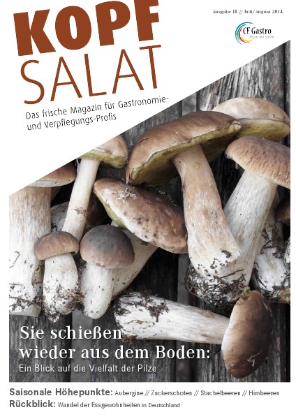 KOPFSALAT Ausgabe 18 (07/2014)