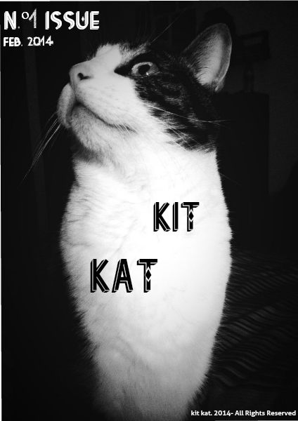 kit kat FEB 2014