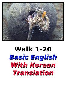 Learn English Here with Korean Translation-Walk 1