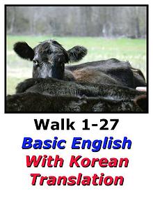 Learn English Here with Korean Translation-Walk 1