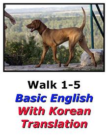 Learn English Here with Korean Translation-Walk 1