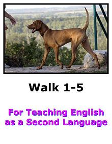 Teach English Here-Walk 1