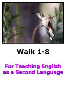 Teach English Here-Walk 1