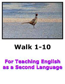 Teach English Here-Walk 1