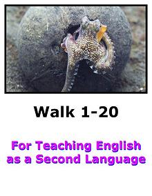 Teach English Here-Walk 1