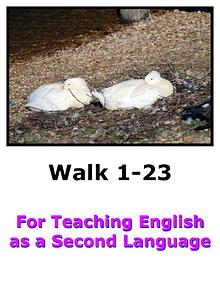 Teach English Here-Walk 1