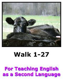 Teach English Here-Walk 1