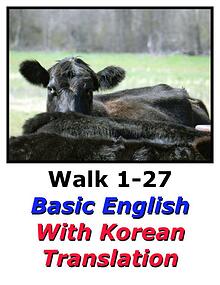 Learn Korean Here with English Translation-Walk 1