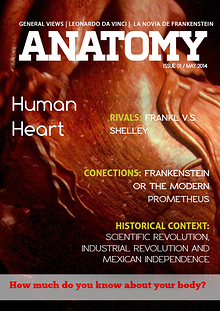 Anatomy of the Human Heart