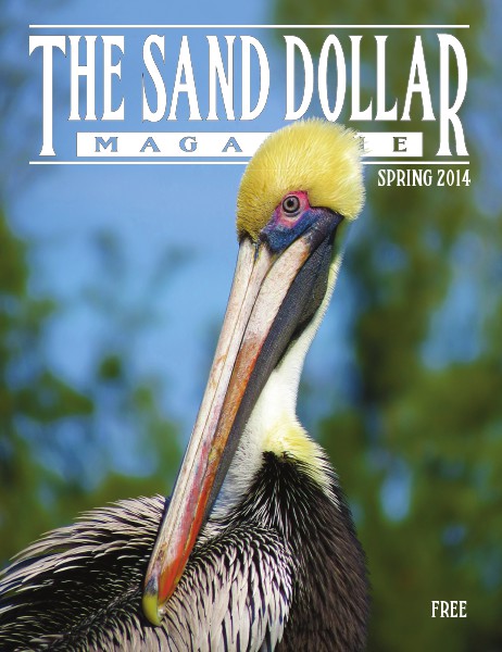 The Sand Dollar Magazine Spring 2014