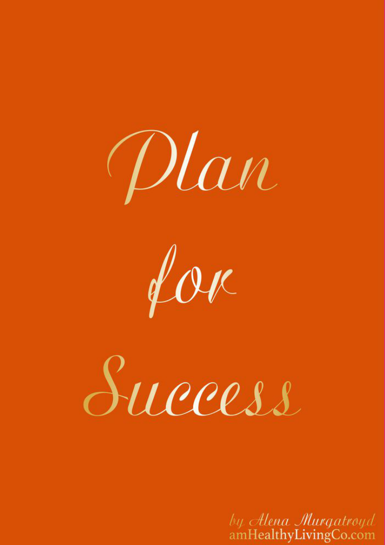 Plan for Success Plan for Success - Spice