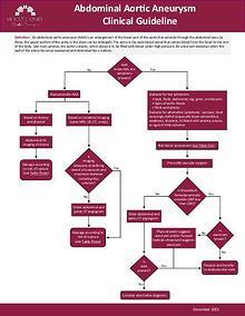 Mount Carmel Health Partners Clinical Guidelines