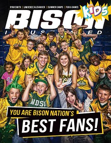 Bison Illustrated