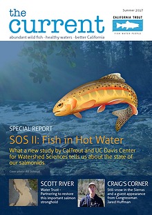 The Current Magazine