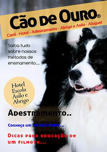 Cão de Ouro - Adestramento para cães - Hotel para Cães