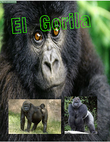 El Gorila