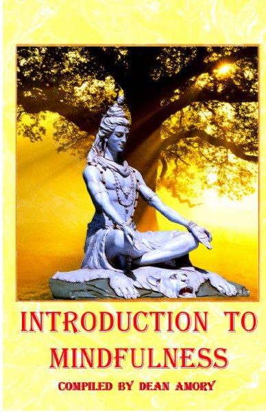 Introduction to Mindfulness_349810_bookemon_ebook.pdf Coaching and Practising Mindfulness