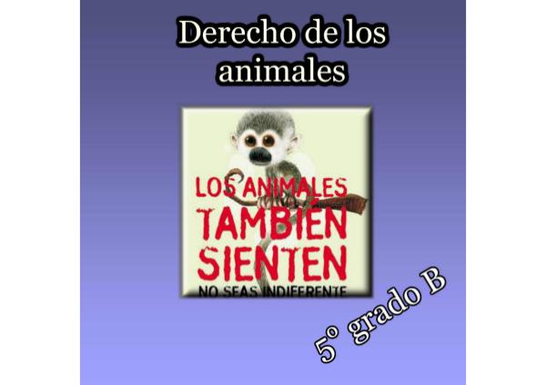 Derechos de los animales. Quinto grado B. 2017 5b Animales