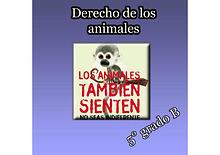 Derechos de los animales. Quinto grado B. 2017