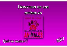 Derechos de los animales. Quinto grado C. 2017