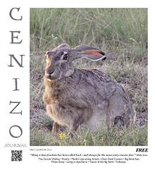 Cenizo Journal