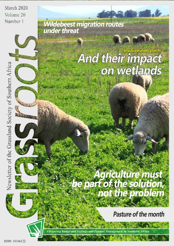 Grassroots - Vol 20 No 1