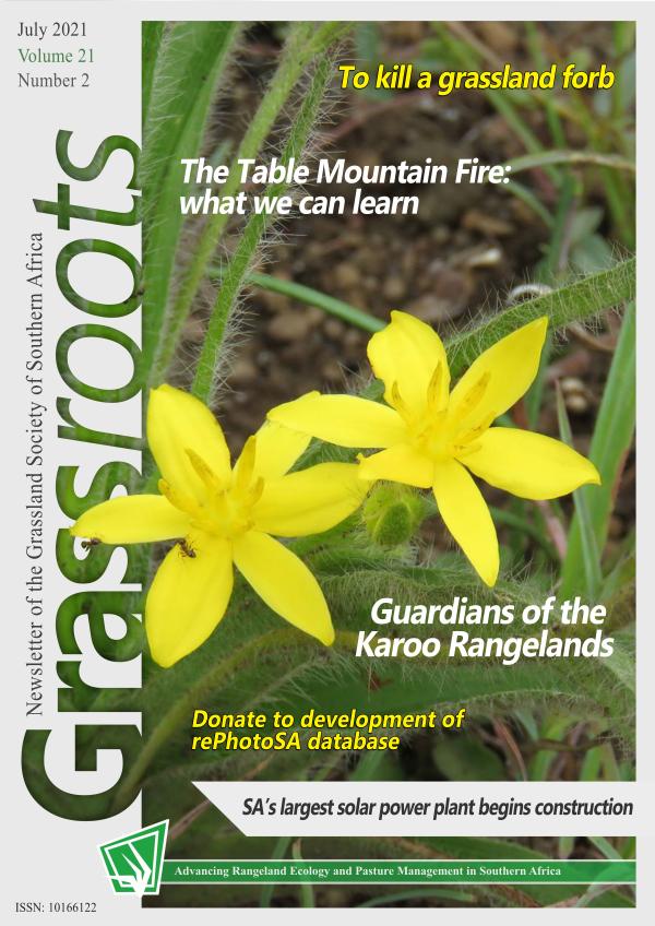 Grassroots Vol 21 No 2