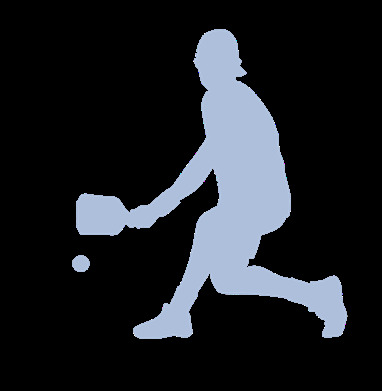 Silhouette of a pickleball player
