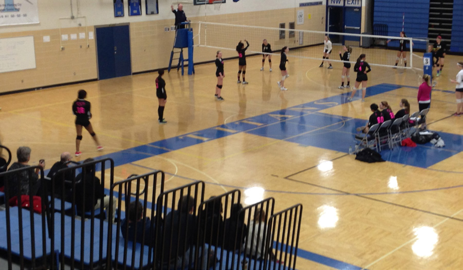 Indoor gymnasium with volleyball nets and players