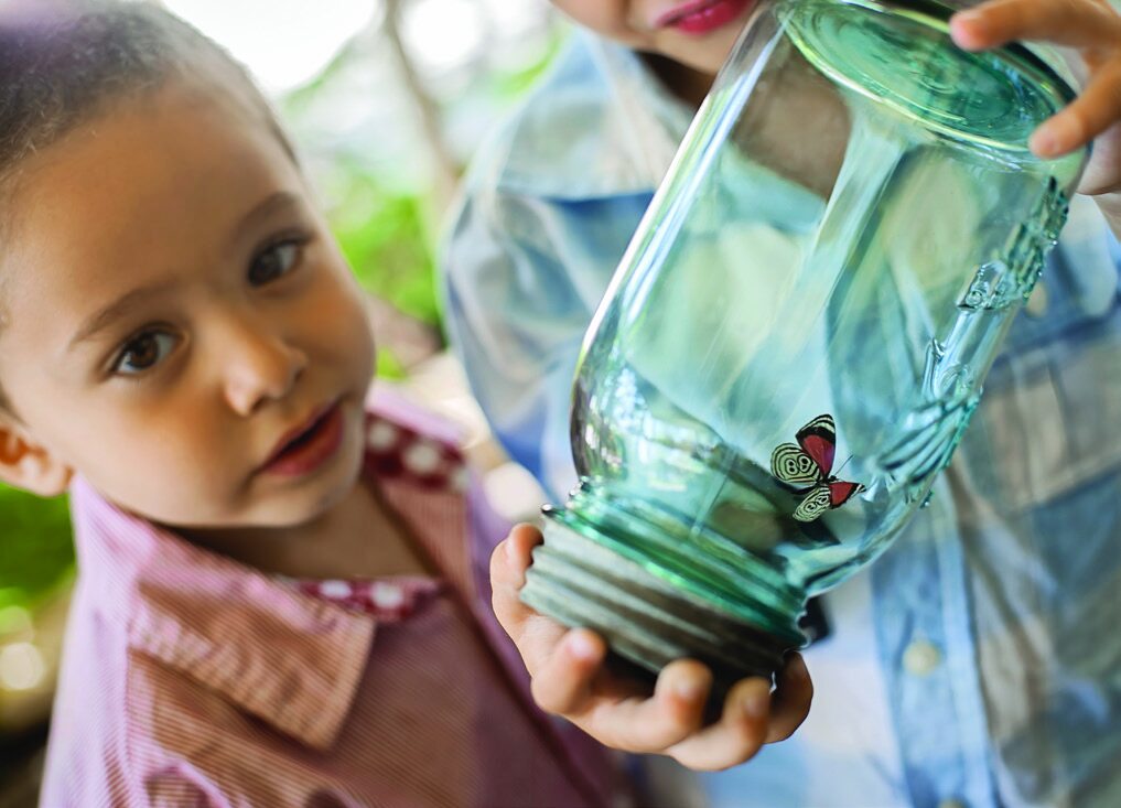 Child observing a jar containing a butterfly model