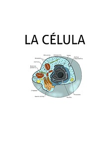 LA CELULA