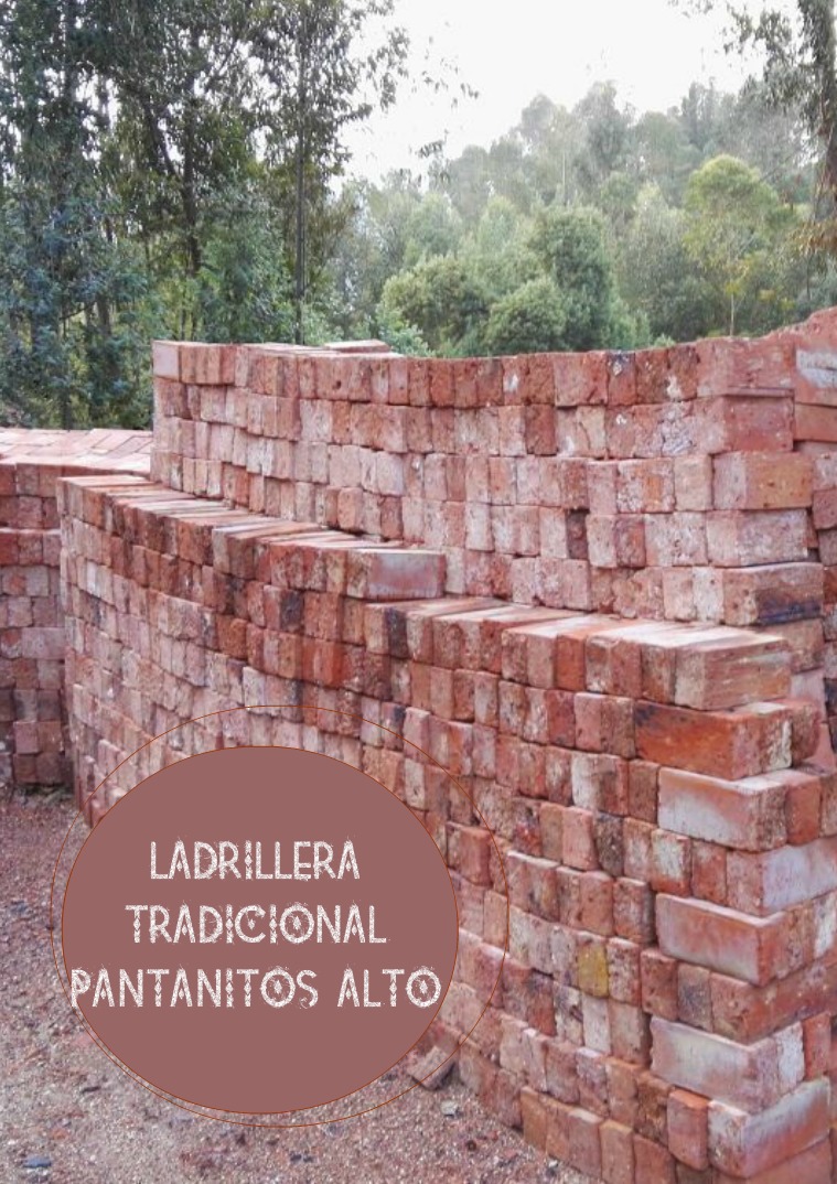 Ladrillera Tradicional Pantanitos Alto 1