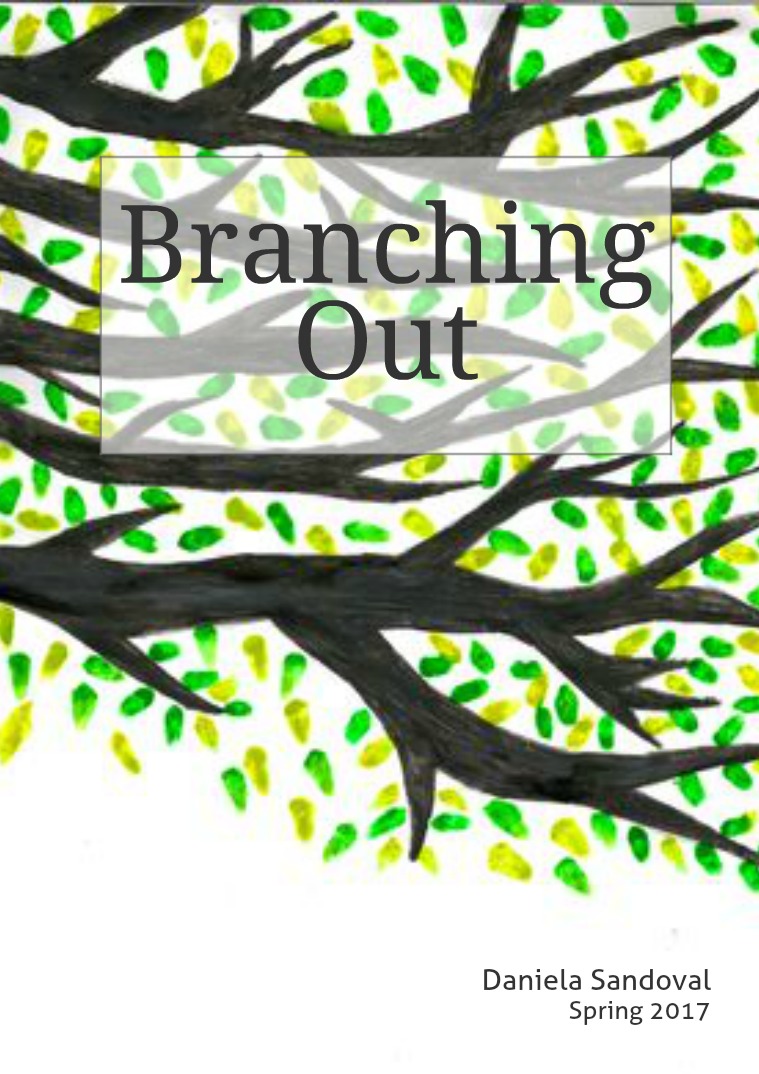 Daniela Sandoval Q4 Portfolio Branching Out