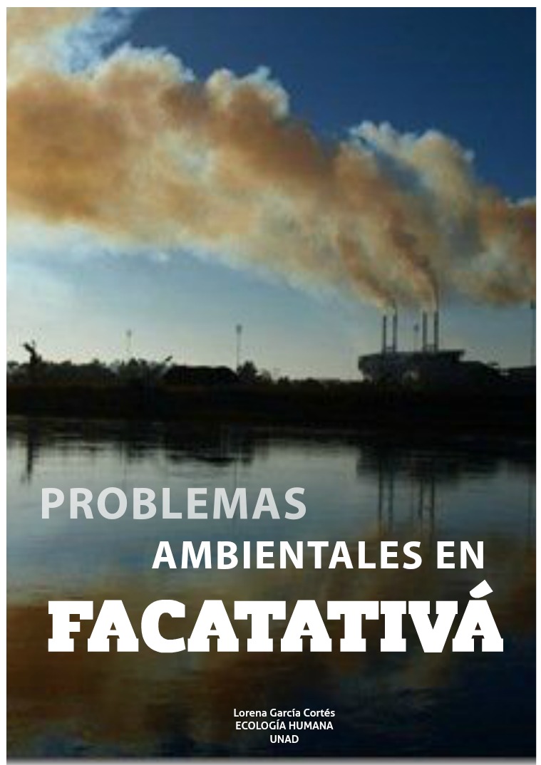 PROBLEMAS AMBIENTALES EN FACATATIVÁ 1