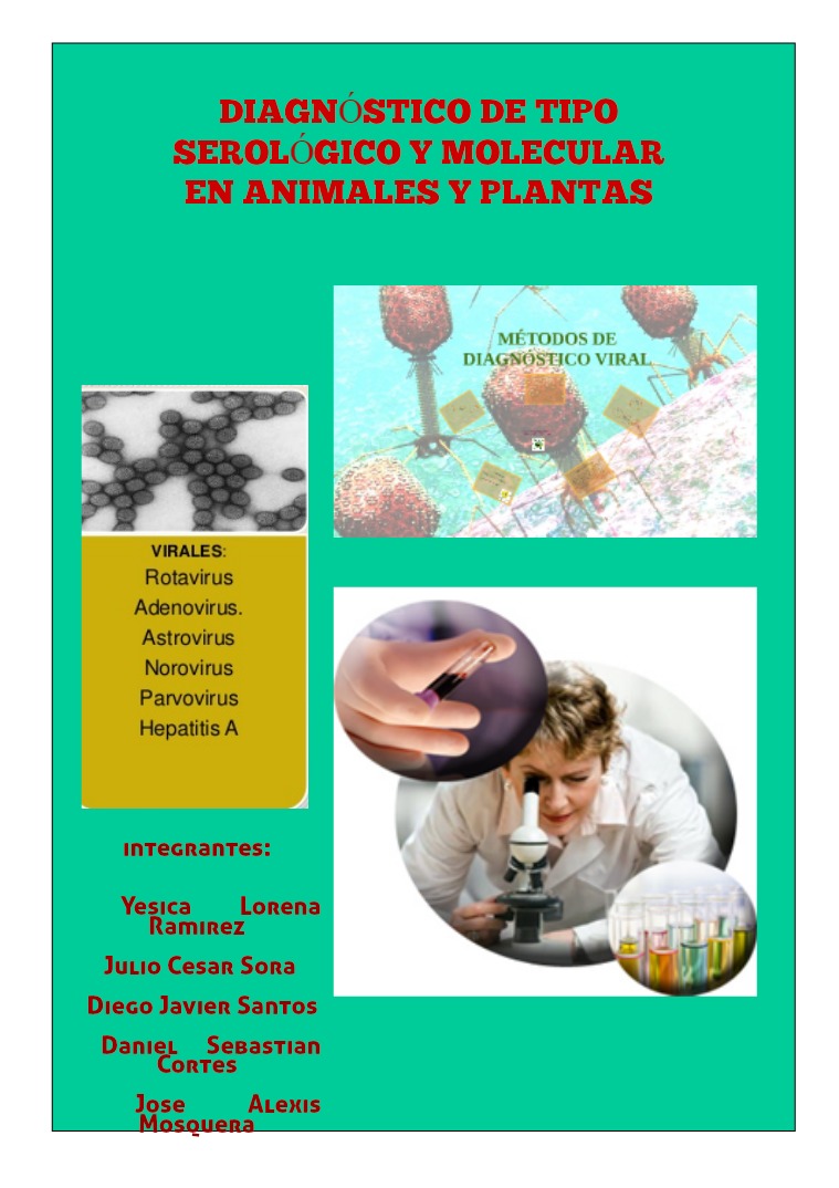 Diagnóstico de tipo serológico y molecular en animales 1