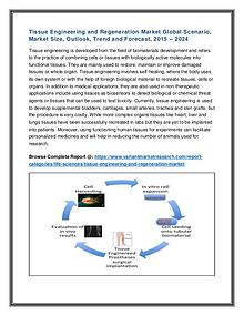 Commercial Roofing Materials Market Global Scenario