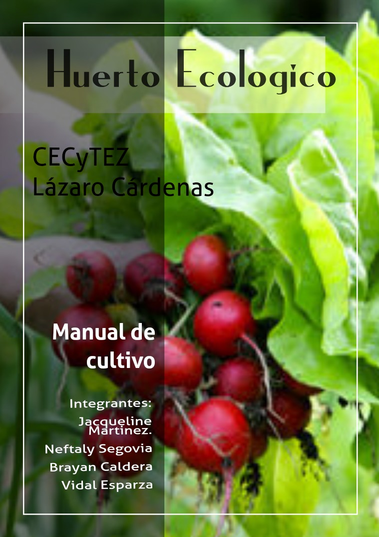 Huerto ecologico Huerto ecológico