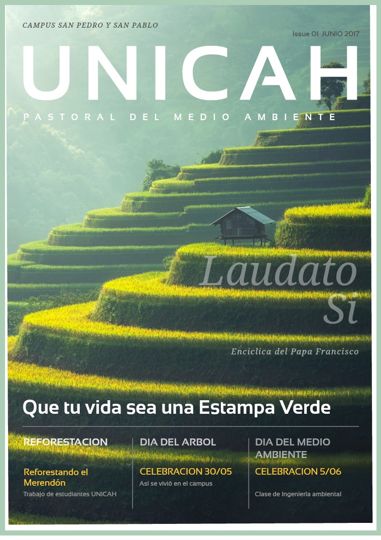 Pastoral Medio Ambiente Issue 01 Pastoral del Medio Ambiente Vol. 01