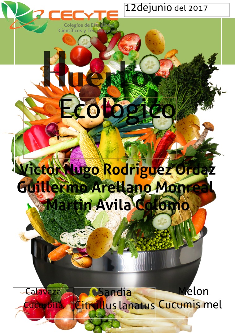 Huerto huerto ecologico