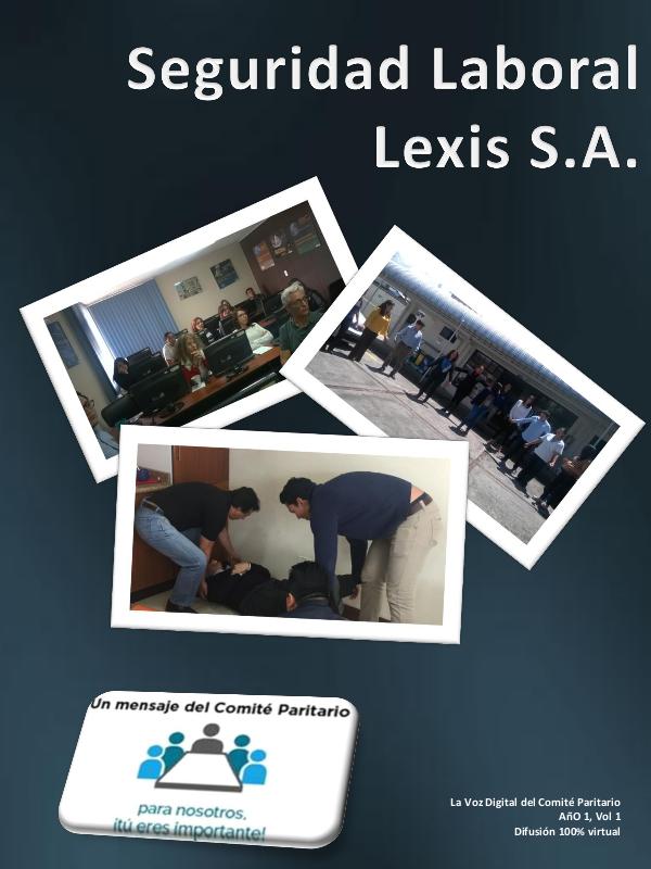 LEXIS - SEGURIDAD LABORAL Año1 Nro. 1