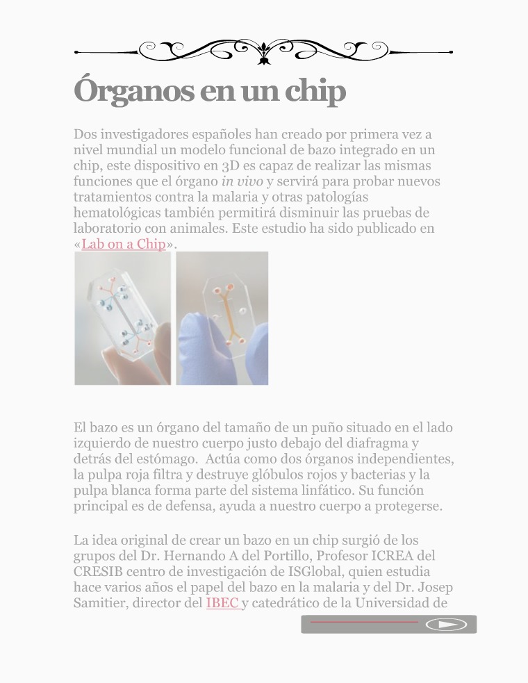 Órganos en un Chip Órganos en un chip