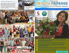 Mi primera revista