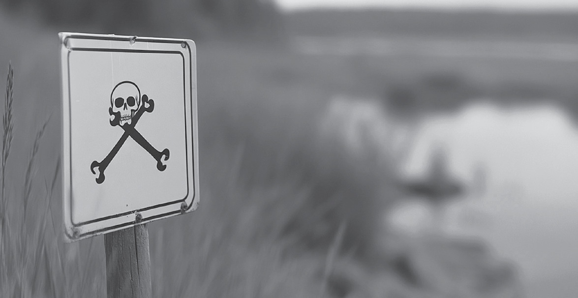 Warning sign with a skull-and-crossbones near a blurred shoreline, indicating a hazardous contamination concern