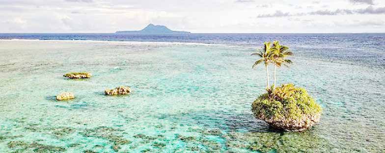 Small rocky islet with a palm tree in clear turquoise water, Vanuatu